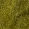 light olive
