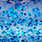 clear blue glitter