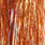 cinnamon