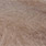 05 beige