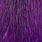 white dyed purple