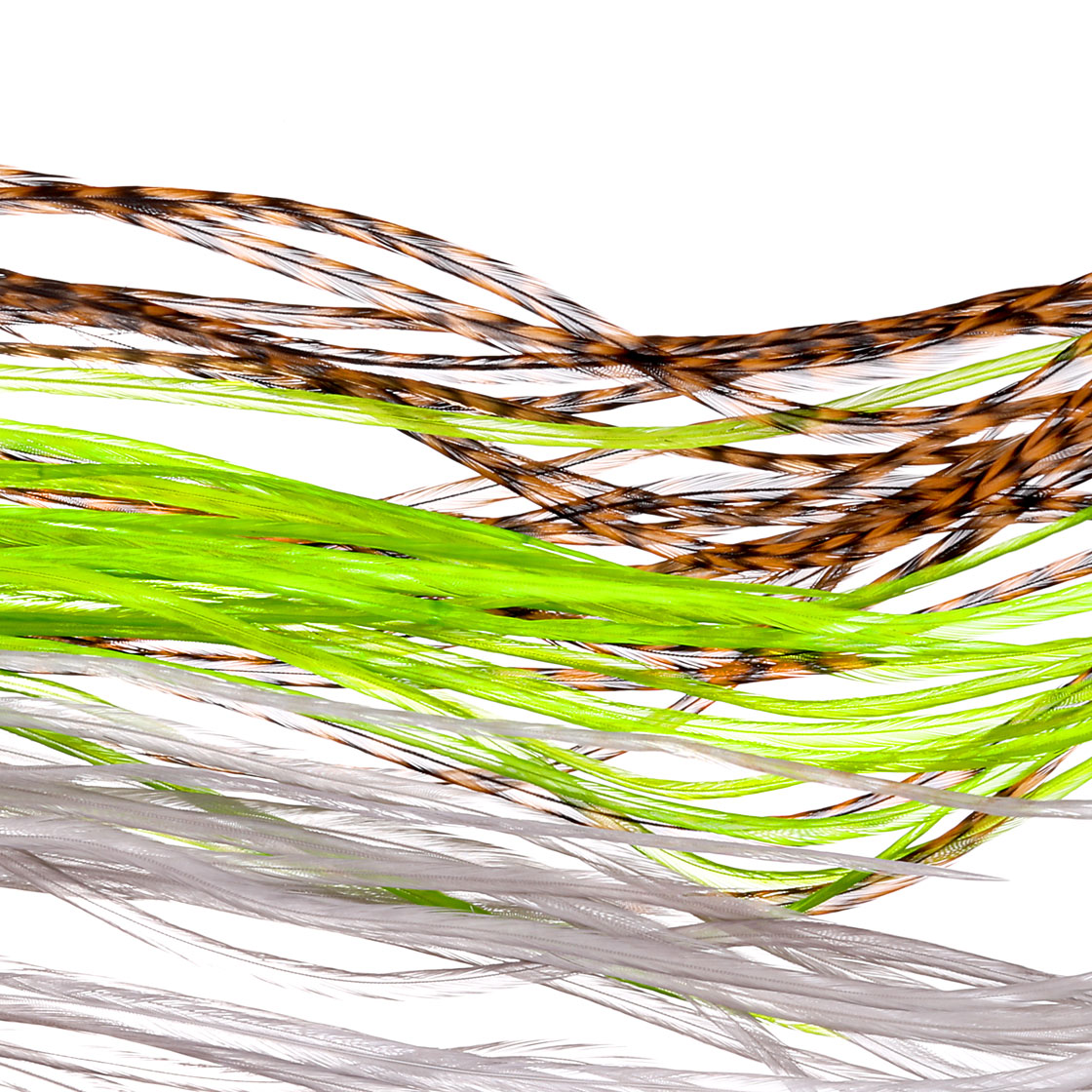 P-25411_Whiting-100-Pk-Size-12_titel