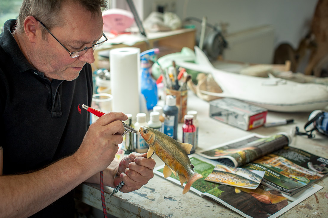 neil-nicholson_5 - Catch & Release Fischpräparate