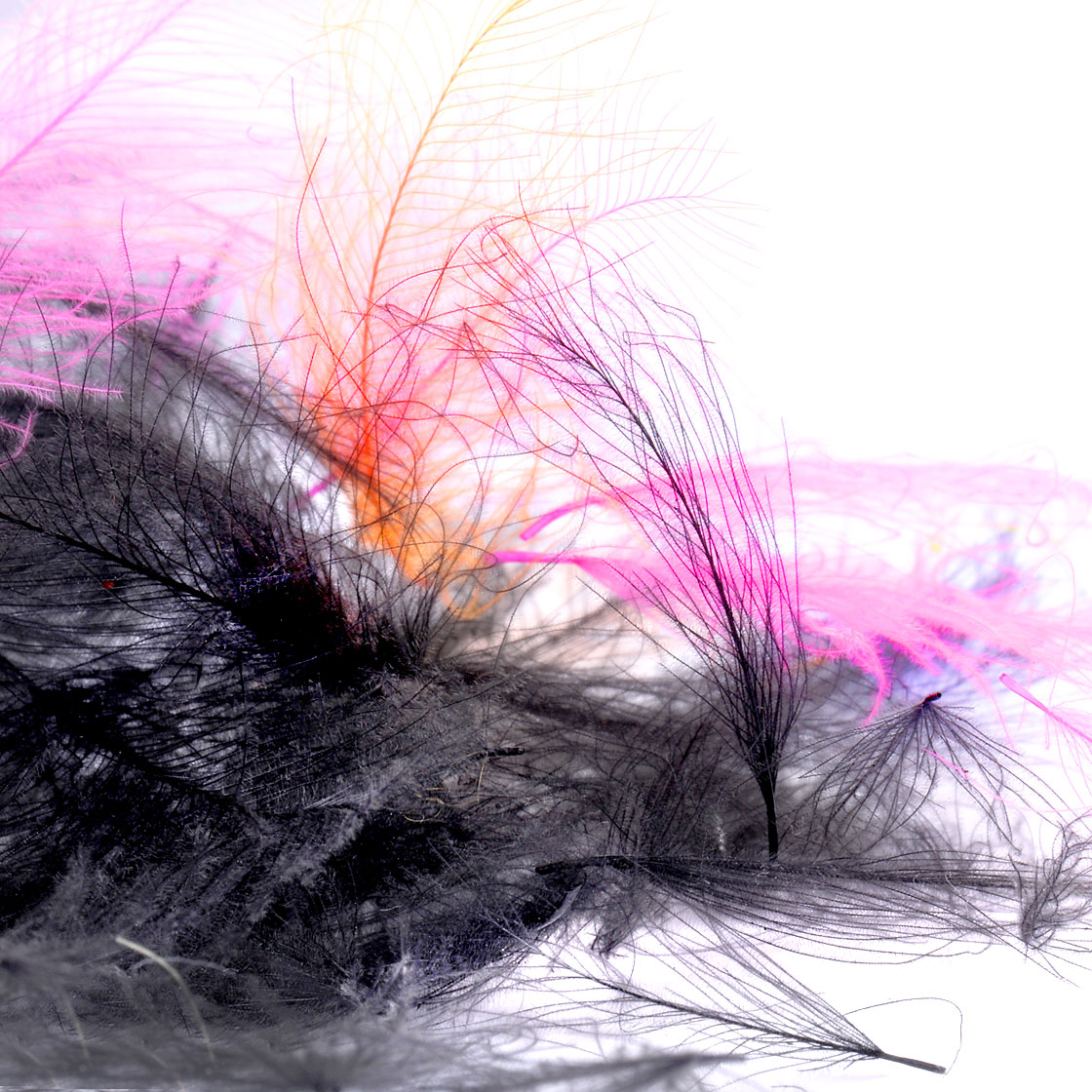 Fulling Mill CDC Feathers Federn 1g Pack