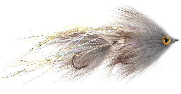 Guideline Streamer - Swim Coach Baby Craven gray