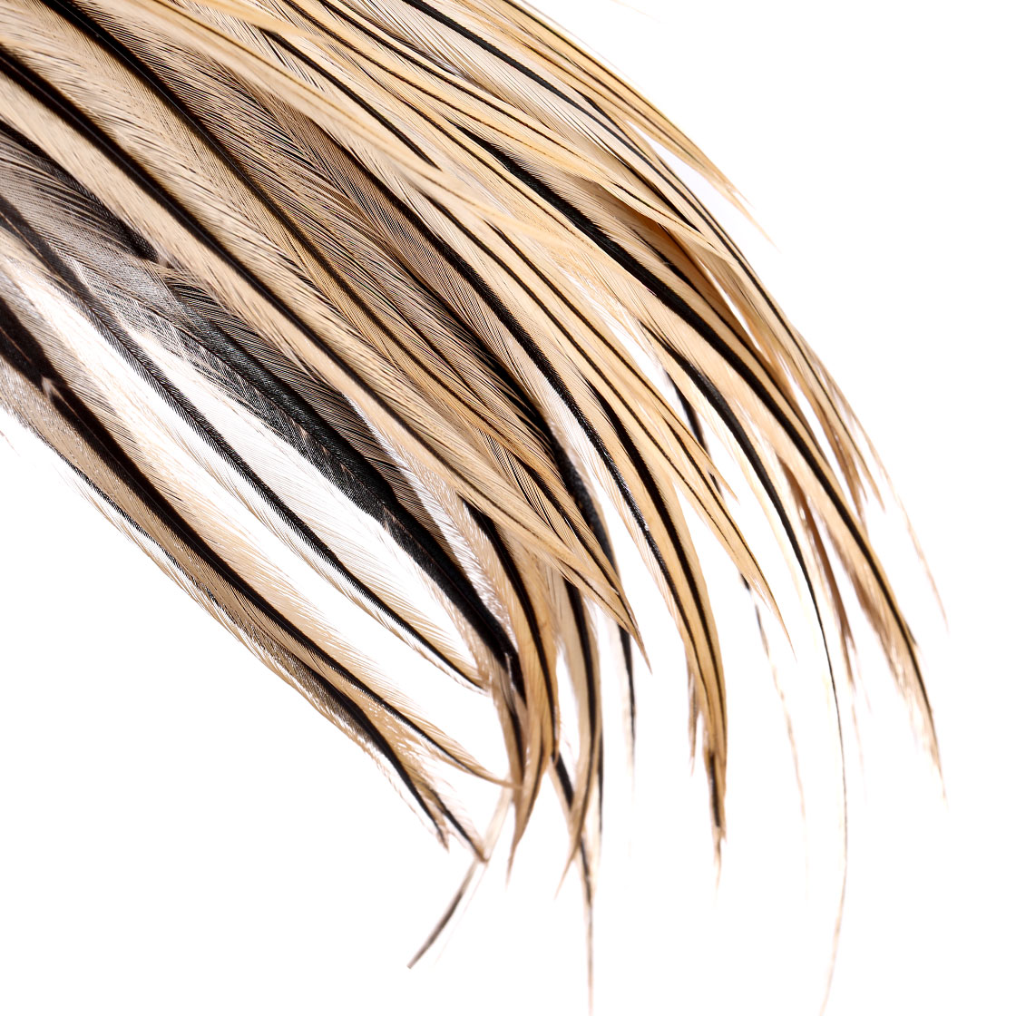 P-25419_Whiting-Bronze-Cape_detail_2