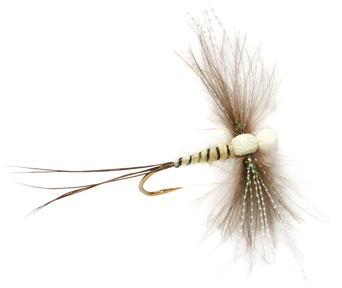 P-21156_FullingMill_Twinglw_Wing_Spinner Fulling Mill Trockenfliege - Procter's Twinkle Wing Spinner Mayfly Maifliege