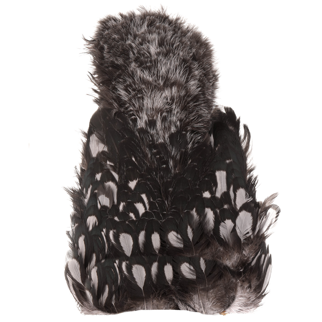 Whiting American Hen SH/C BLW Black Laced White Whiting American Hen SH/C BLW Black Laced White