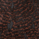 grizzly dyed coachman brown