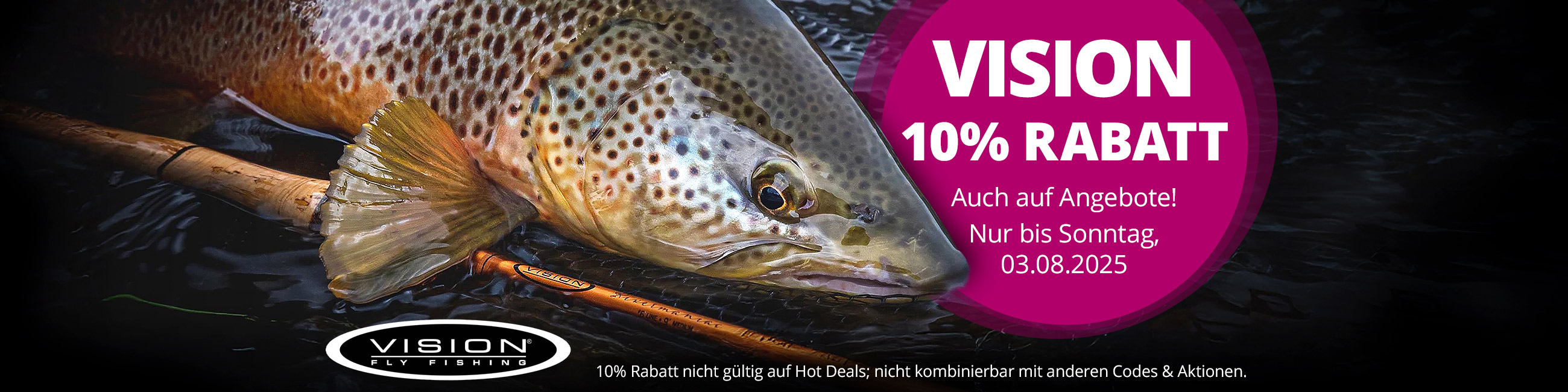 10% auf Vision -auch auf Angebote- bis 3.8.