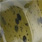 C-01
