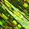3289 chartreuse