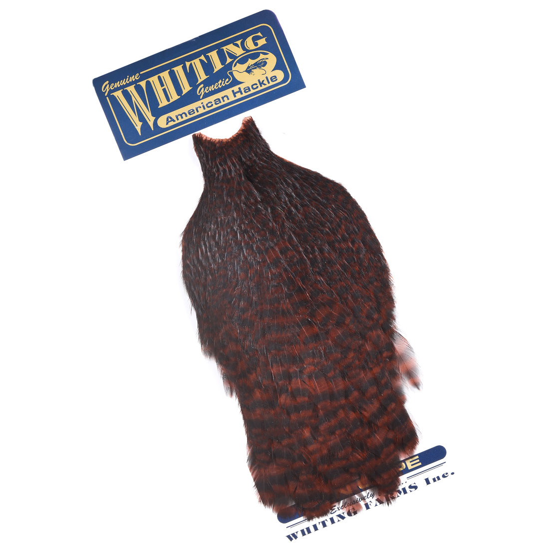 P-25377-4_Whiting-American-Hen-Cape_grizzly-dyed-coachman-brown grizzly dyed coachman brown