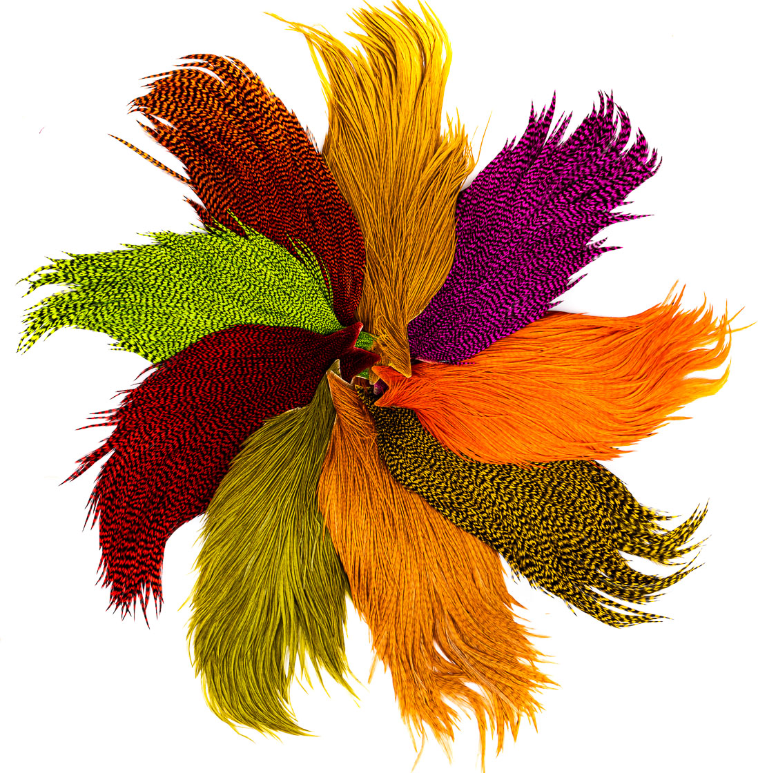 Whiting High & Dry Hackle Bronze ganzes Cape