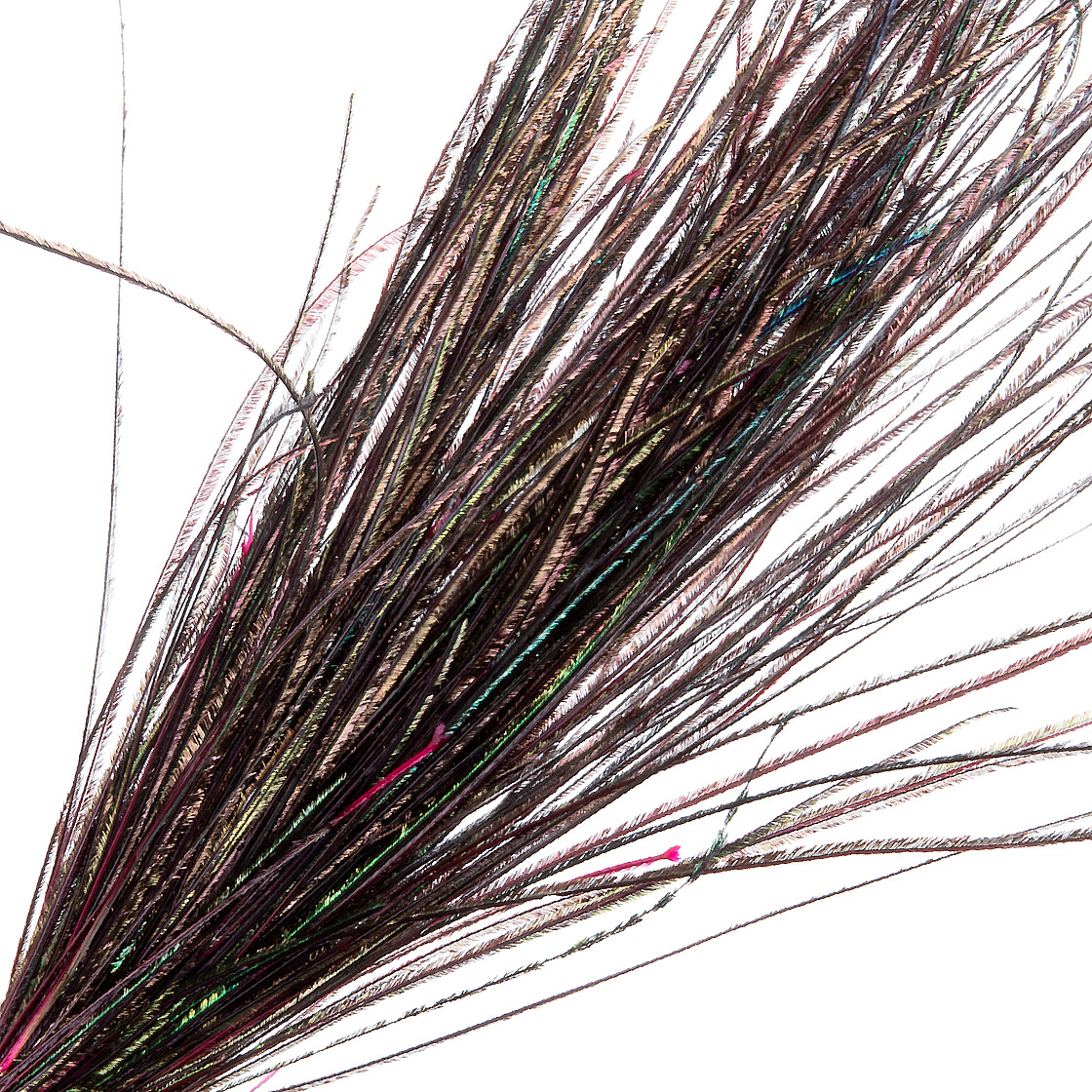 17 fuchsia