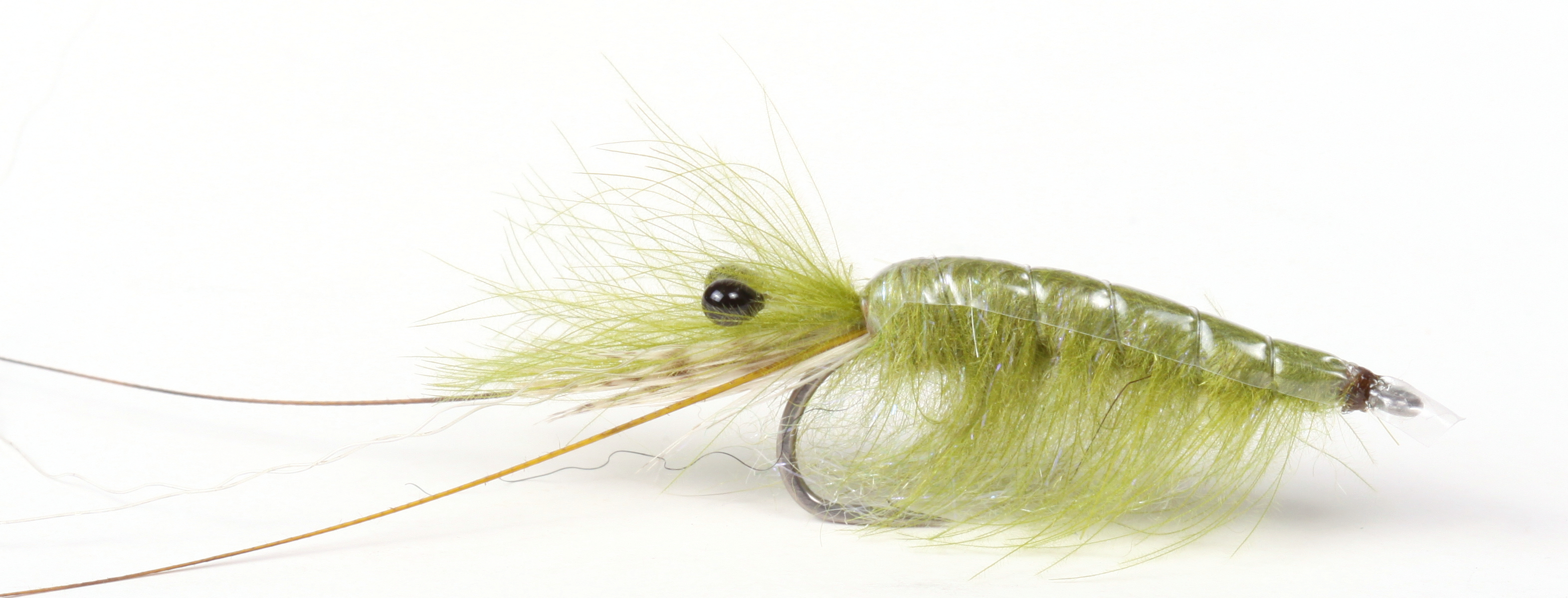 Guideline Meerforellenfliege Olive CDC Shrimp