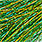 gaudy green