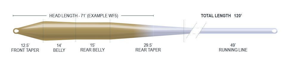 P-28949_Airflo_Ridge_2-0_Superflo_Super_Trout_Floating_Fliegenschnur_Camo_Olive_Driftwood_3