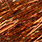 copper blaze