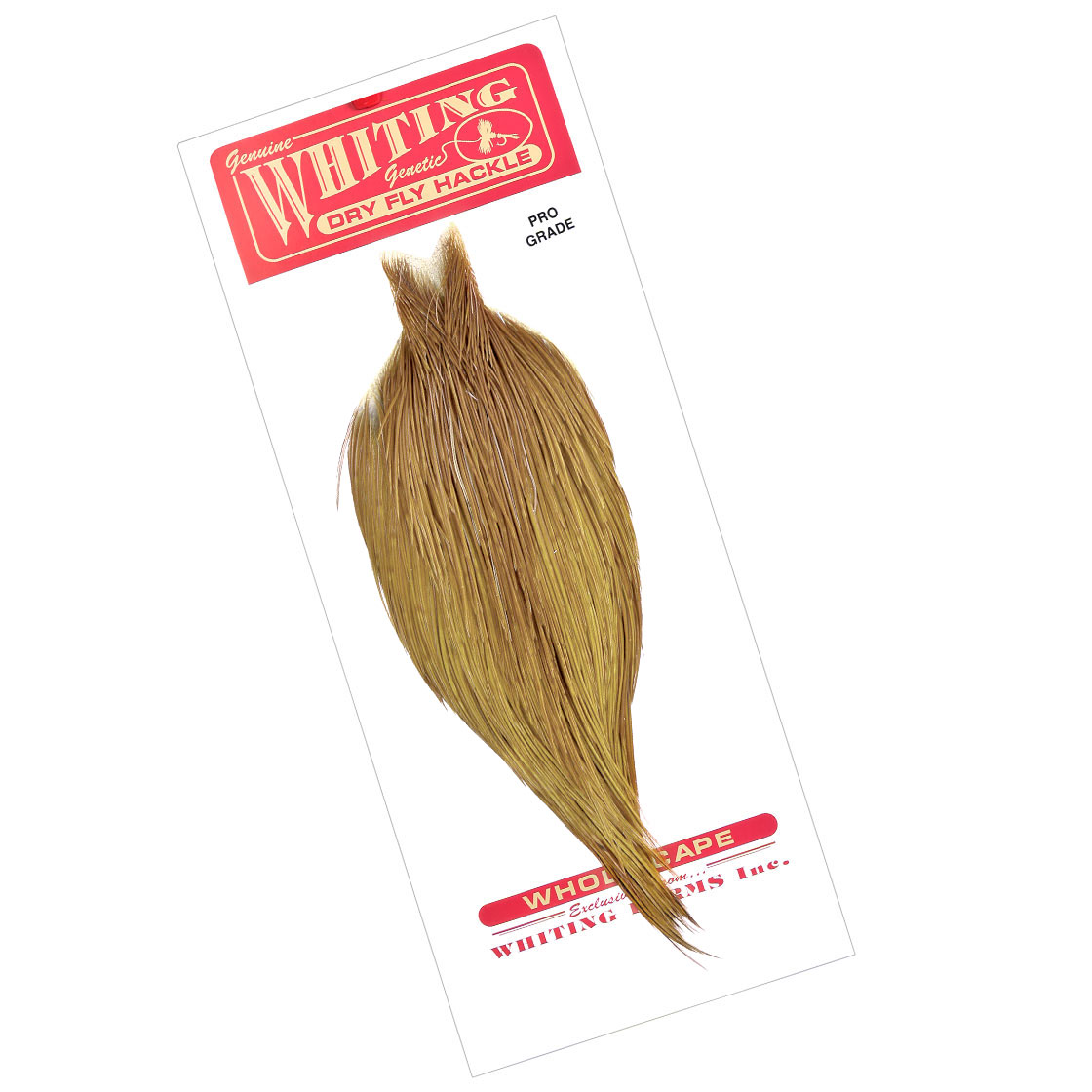 white dyed golden olive