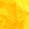 fluo sunburst