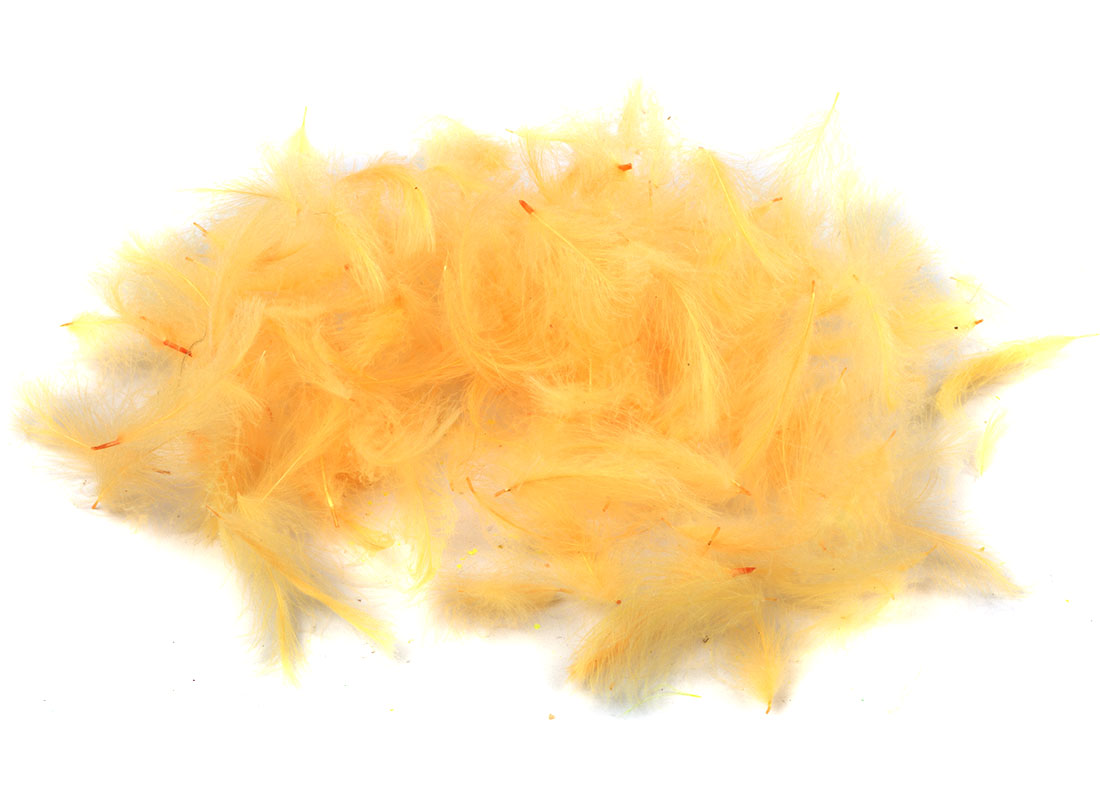 cdc_feathers_17_peach_light 17 light peach