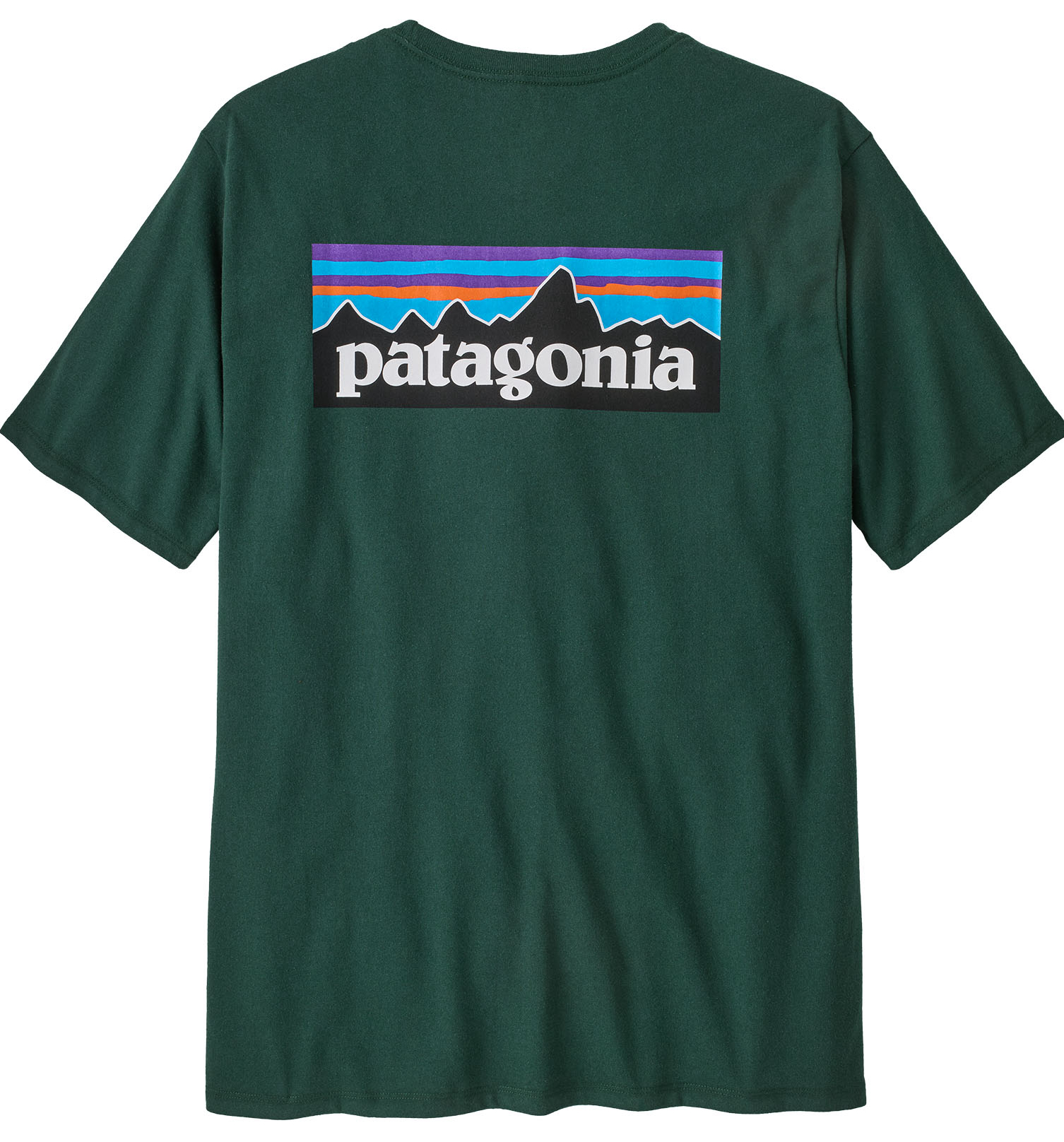 Patagonia P-6 Logo Responsibili-Tee CASG