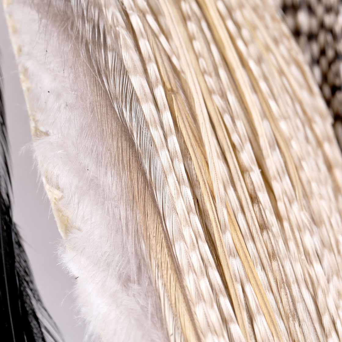 P-25397_Whiting-Introductory-Hackle-Pack-Four-1_2-Capes_detail_3