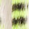 white/chartreuse
