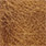 31 light brown