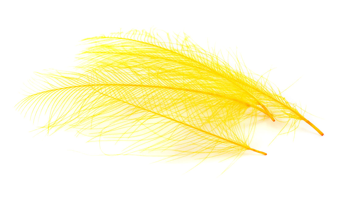 18 yellow