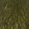 white dyed dark olive