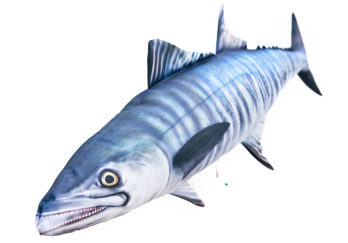 P-29207_Fischkissen-Kuscheltier_Spanische_Makrele_102cm_detail