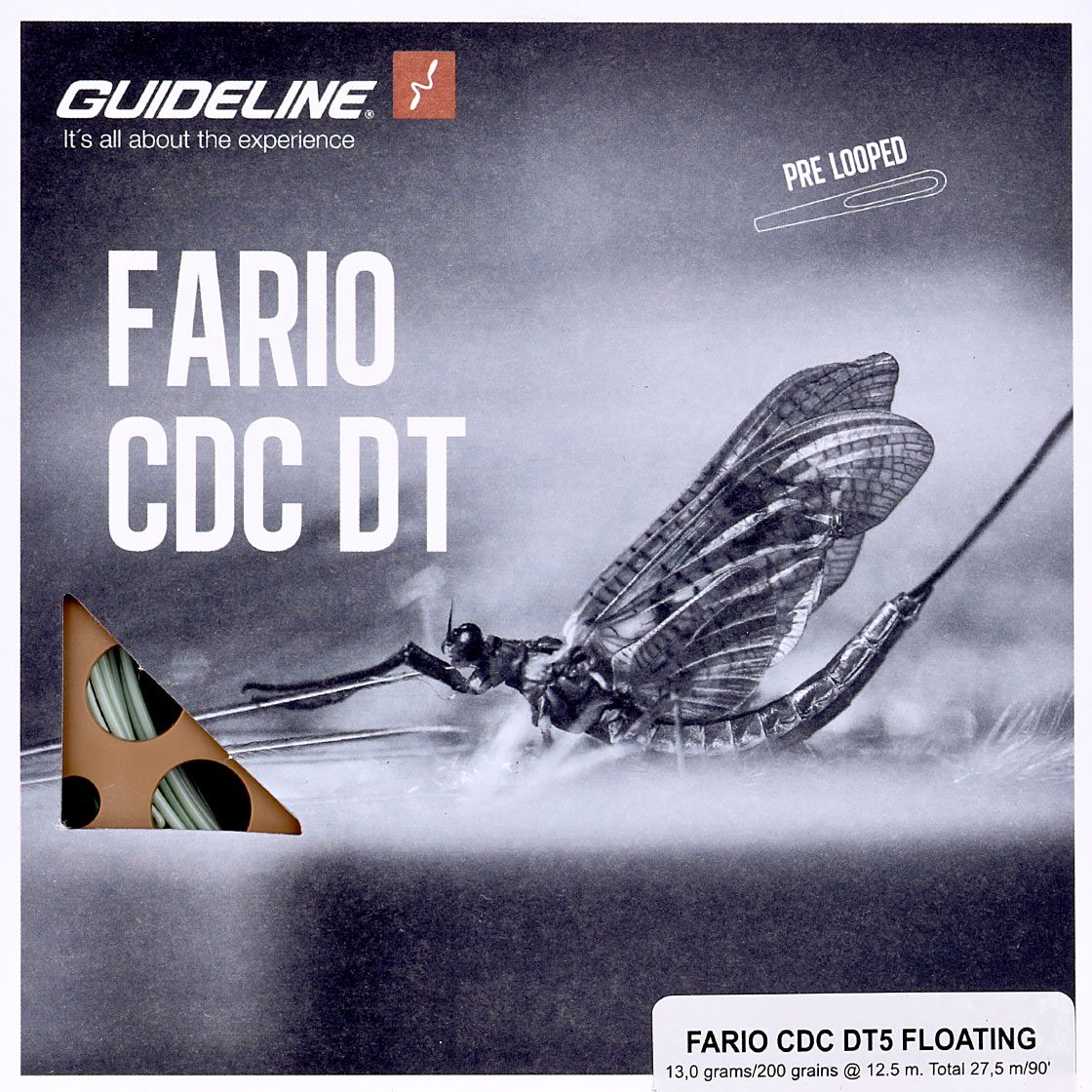 Guideline Fario CDC DT Fliegenschnur