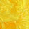 sweetcorn