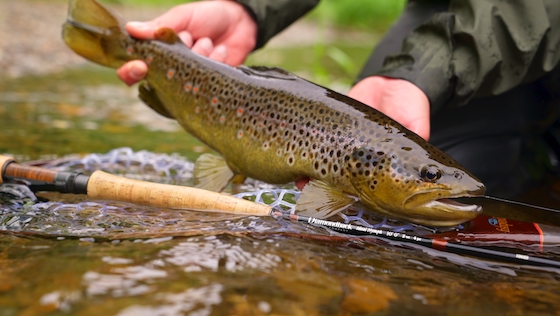 Wir testen: Diamondback Ideal Nymph Rute und Rolle
