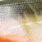 bass orange