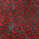 grizzly dyed red