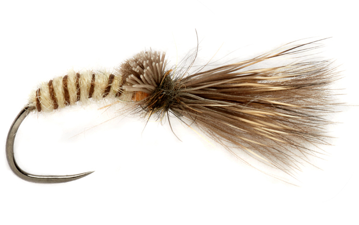 Fulling Mill Trockenfliege - Procter's Caddis Emerger Cream Barbless
