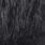 badger dyed black