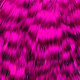 grizzly dyed pink