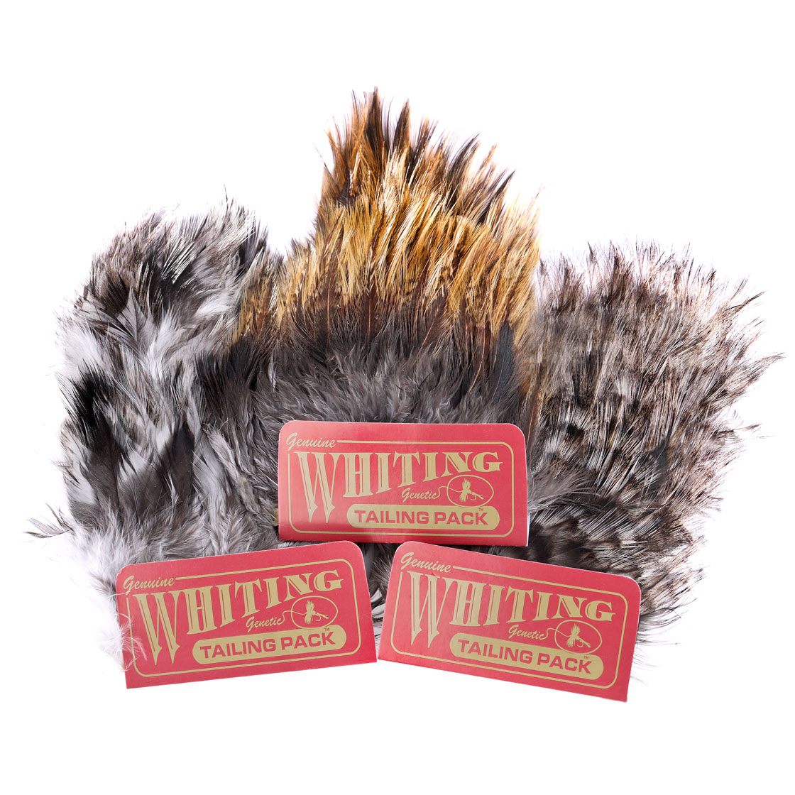 P-25396_Whiting-Coq-de-Leon-Tailing-Pack_titel