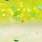 sparkling chartreuse