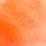 fluo salmon