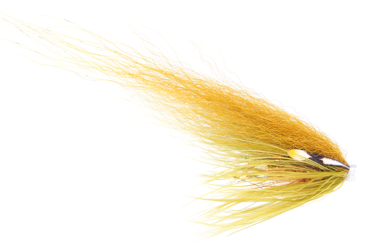 Guideline_Tubenfliege_Hajas_Andersson_Boliven_LT Guideline Tubenfliege Hajas Andersson Boliven LT