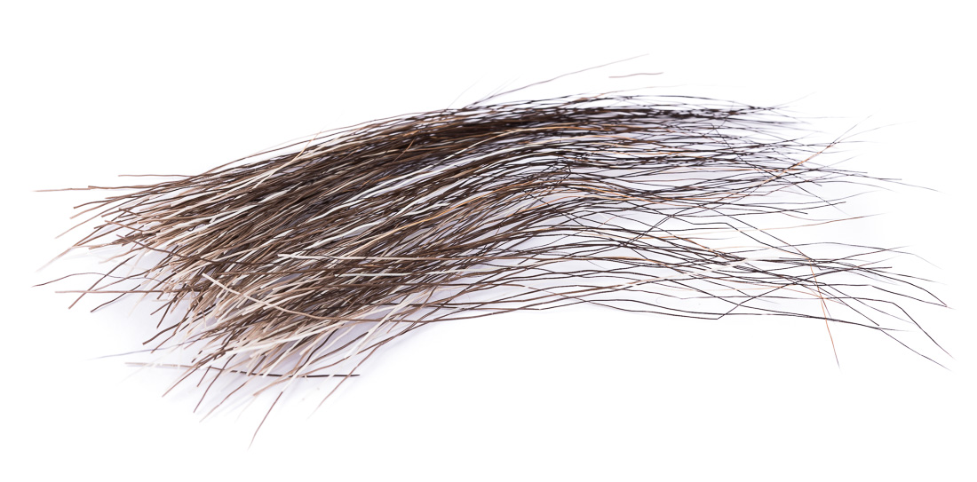 12632-wapsi-moose-mane-duhmom-1 Wapsi Moose Mane - Elch Mähne - perfekte "Fühler"