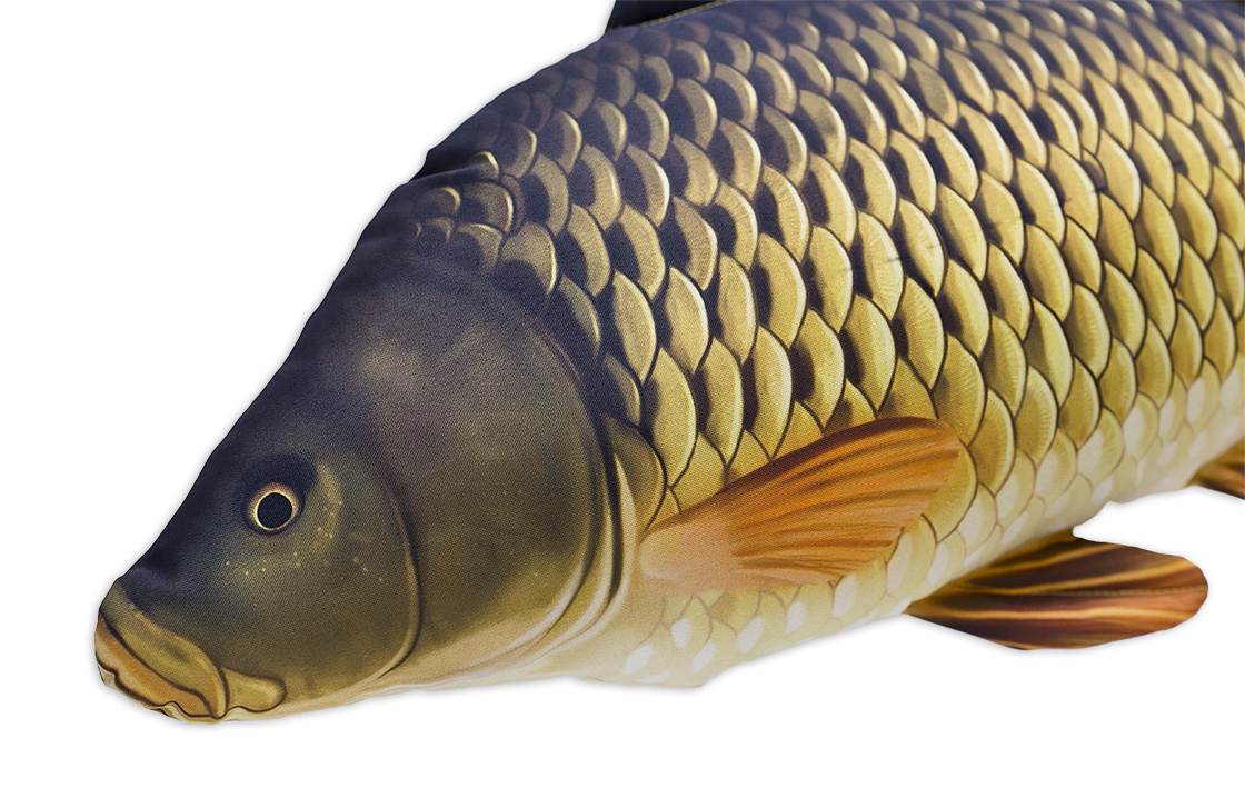 Fischkissen_Kuscheltier_Schuppenkarpfen_2