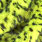 fluo yellow
