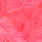 fluo coral