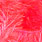 hot fluo coral